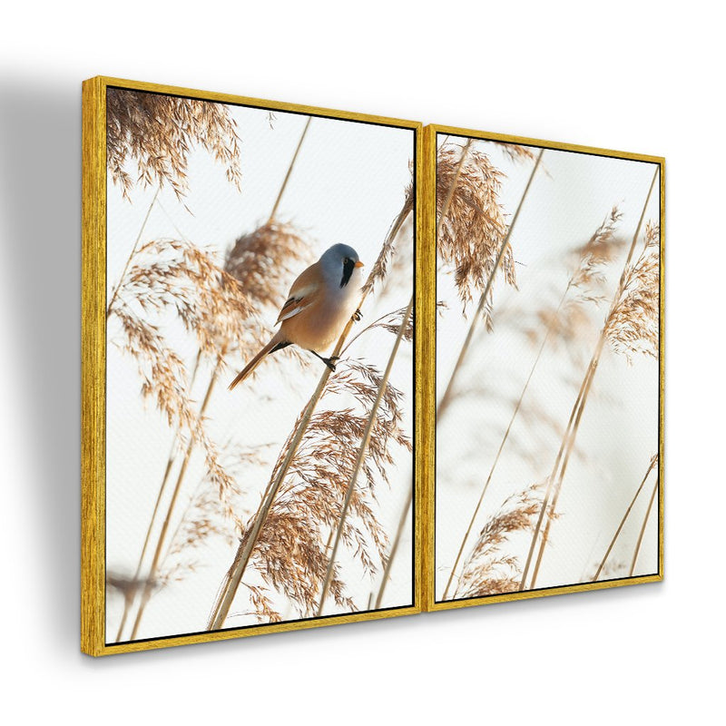Quadro decorativo 2 telas Ornamentais e Chapim-de-Bigodes