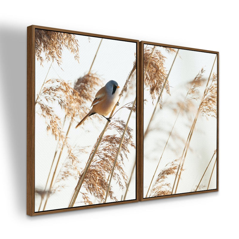 Quadro decorativo 2 telas Ornamentais e Chapim-de-Bigodes