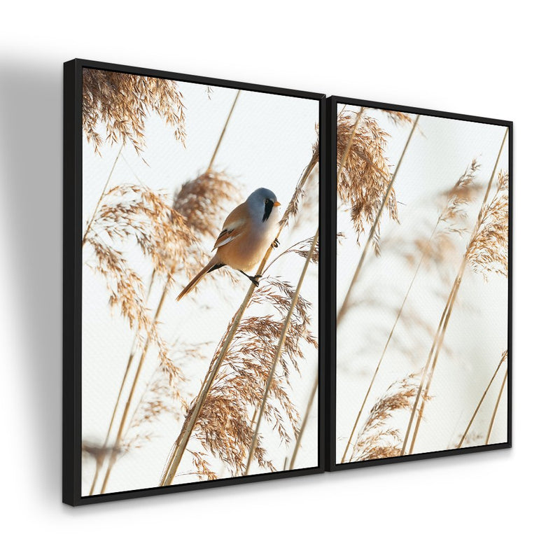 Quadro decorativo 2 telas Ornamentais e Chapim-de-Bigodes