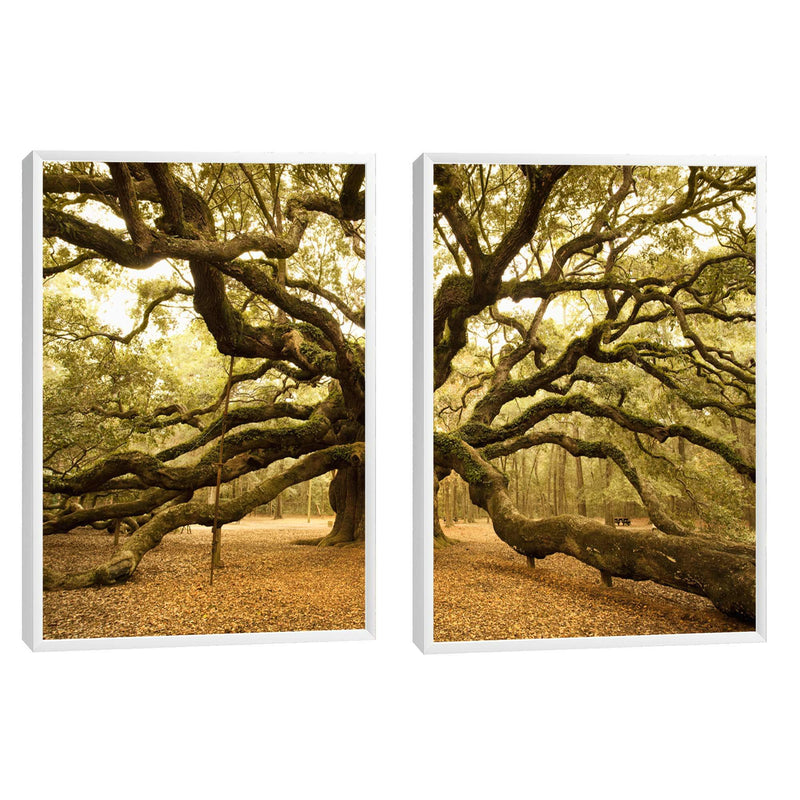 Quadro decorativo 2 telas Arvore antiga
