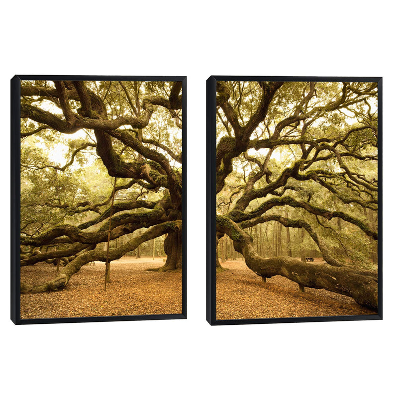 Quadro decorativo 2 telas Arvore antiga