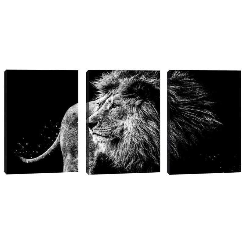Quadro decorativo 3 Telas Leão Black