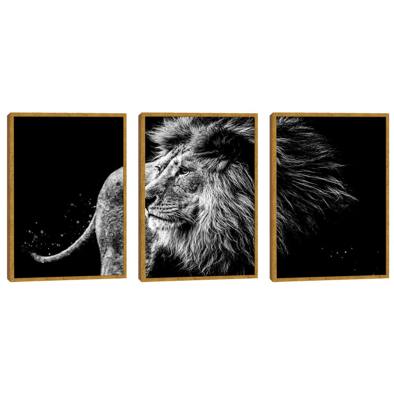 Quadro decorativo 3 Telas Leão Black
