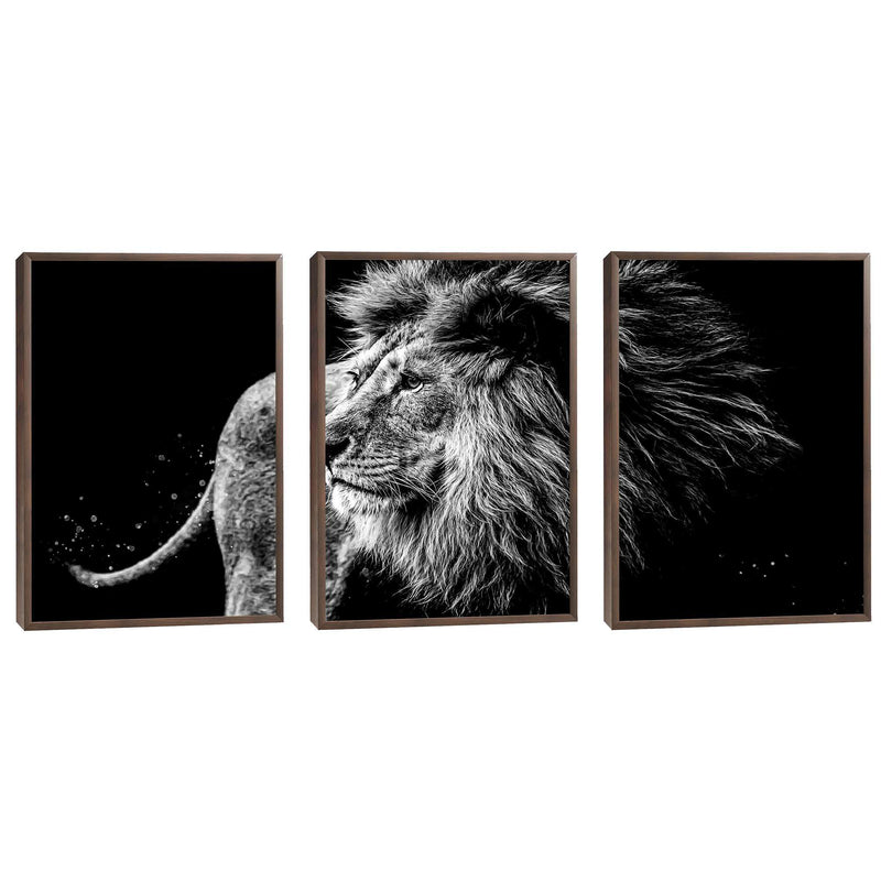 Quadro decorativo 3 Telas Leão Black