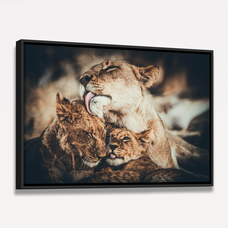 Quadro Decorativo Leoa e seus filhotes Amor