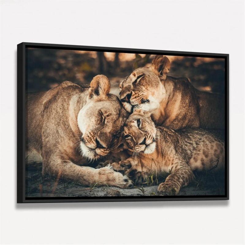 Quadro Decorativo Familia de Leões Afeto