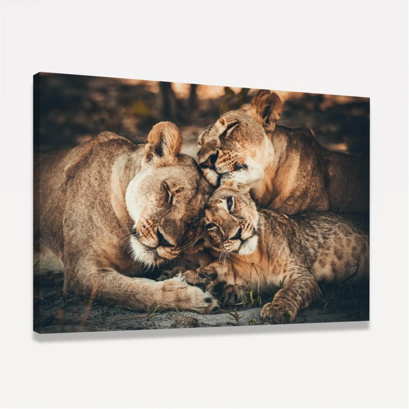 Quadro Decorativo Familia de Leões Afeto