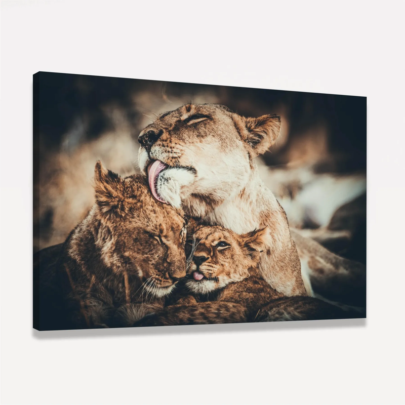 Quadro Decorativo Leoa e seus filhotes Amor