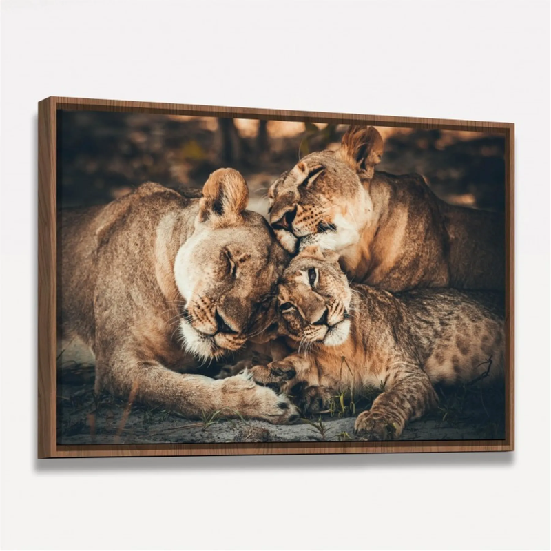 Quadro Decorativo Familia de Leões Afeto