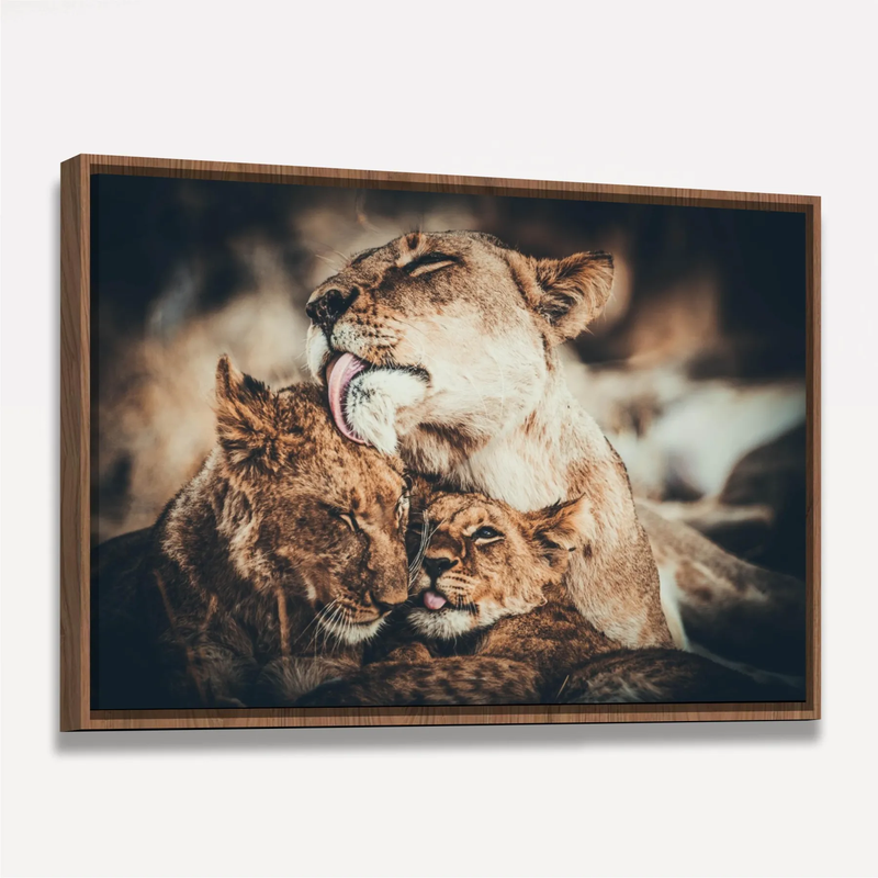 Quadro Decorativo Leoa e seus filhotes Amor