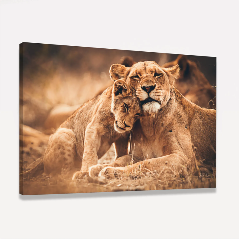 Quadro Decorativo Leoa e Filhote Amor de Predador